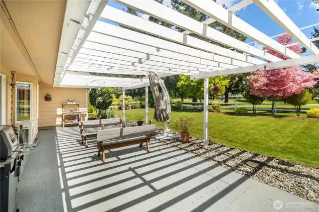 Back Patio