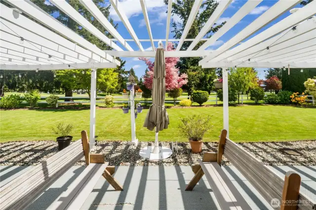Back Patio