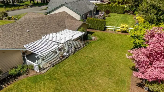Backyard Aerial