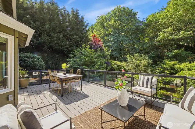 Entertainment deck off kitchen