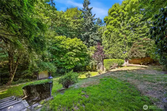 Backyard with access to creek