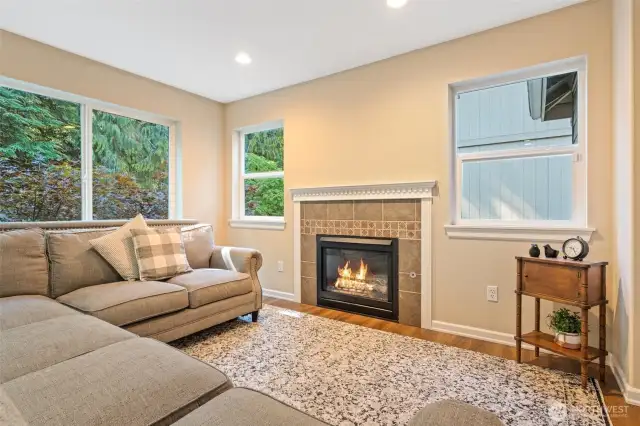 Main level sitting area with gas fireplace and plenty of windows