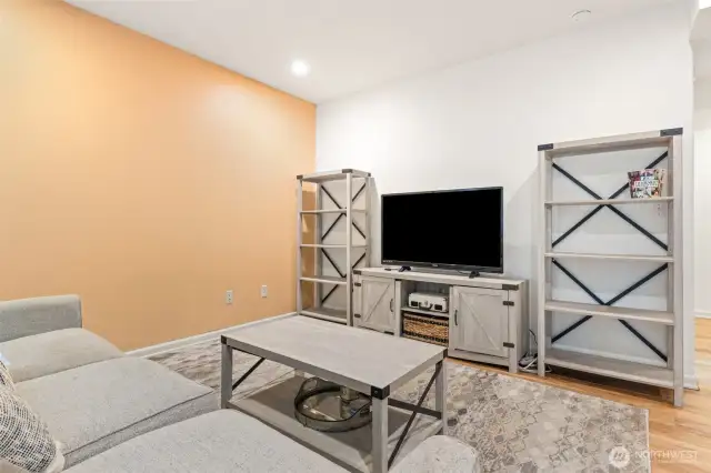 Lower level rec room