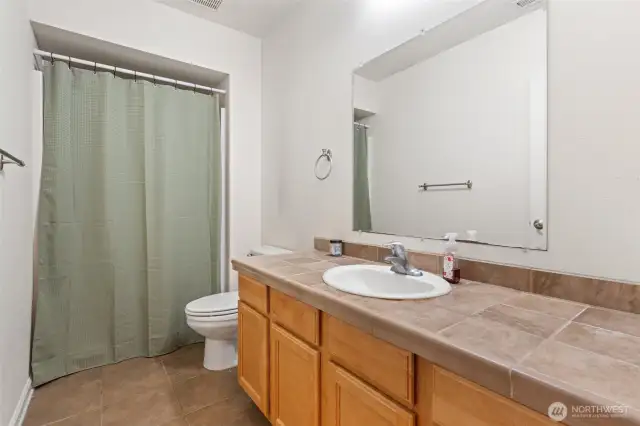Lower level bathroom