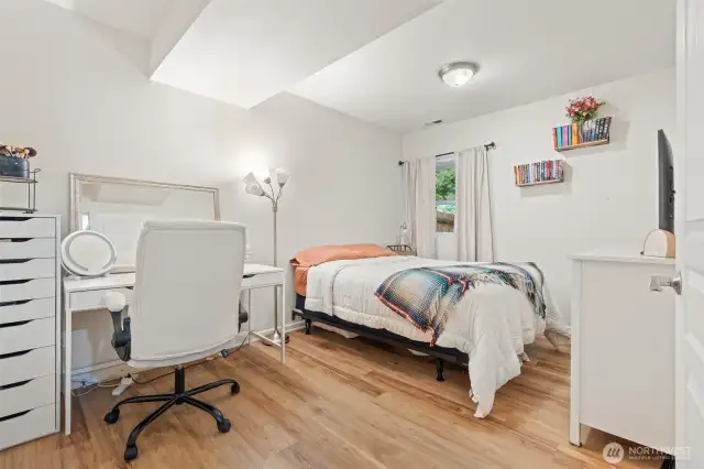 Lower level bedroom with walk in closet #1
