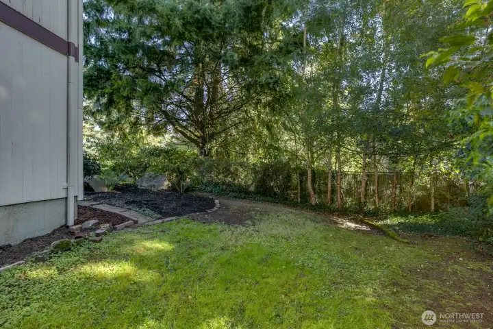 Another view of side yard.