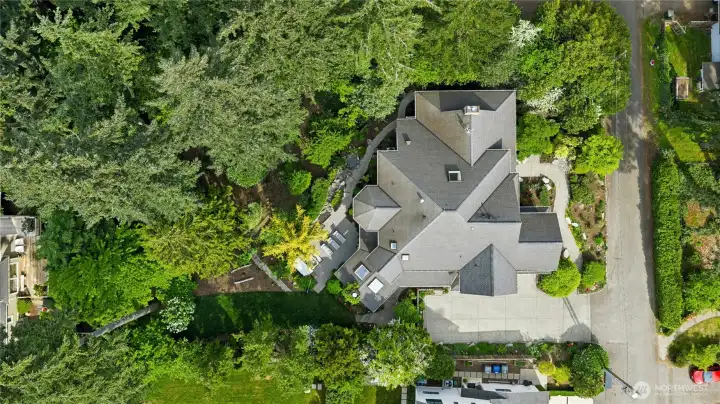 Overview of the nearly 20,000 SQ FT lot Overview of the nearly 20,000 SQ FT lot