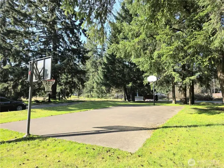 Shadow Pines has game—literally. Full sport court for hoops, play, and weekend fun.