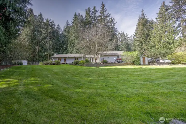 Large, private backyard with open lawn space surrounded by mature trees