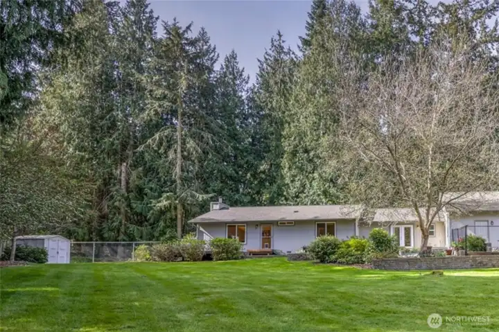 Large, private backyard with open lawn space surrounded by mature trees