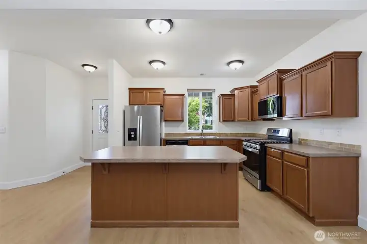 Gourmet-style kitchen