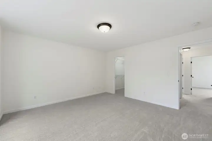 All brand new carpets
