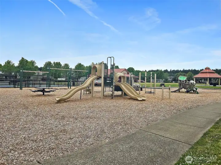 Main playground