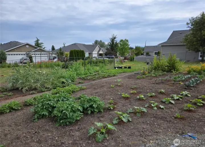 Community resident garden space for all to enjoy. Private raised garden beds may be available for purchase.