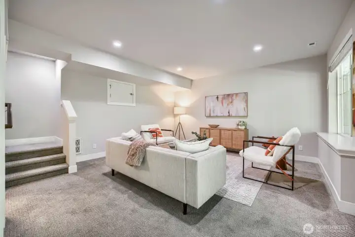 Basement family room