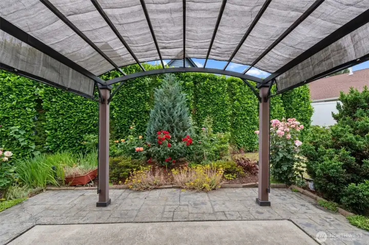 Pergola with retractable sunshade in backyard