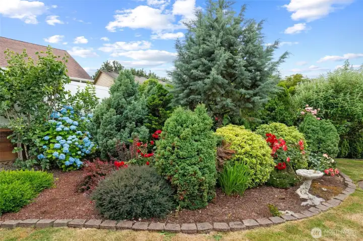 Beautiful landscaping