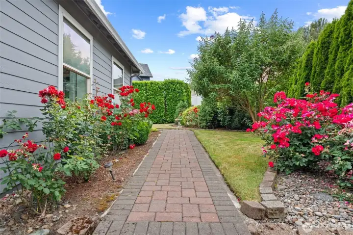 NW side yard with brick walkway
