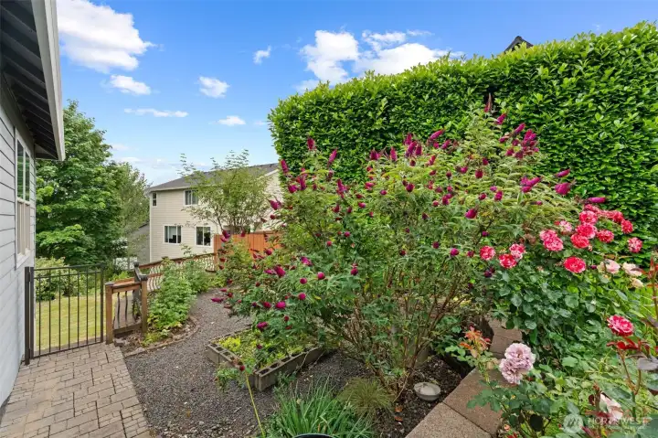 SW yard with garden beds