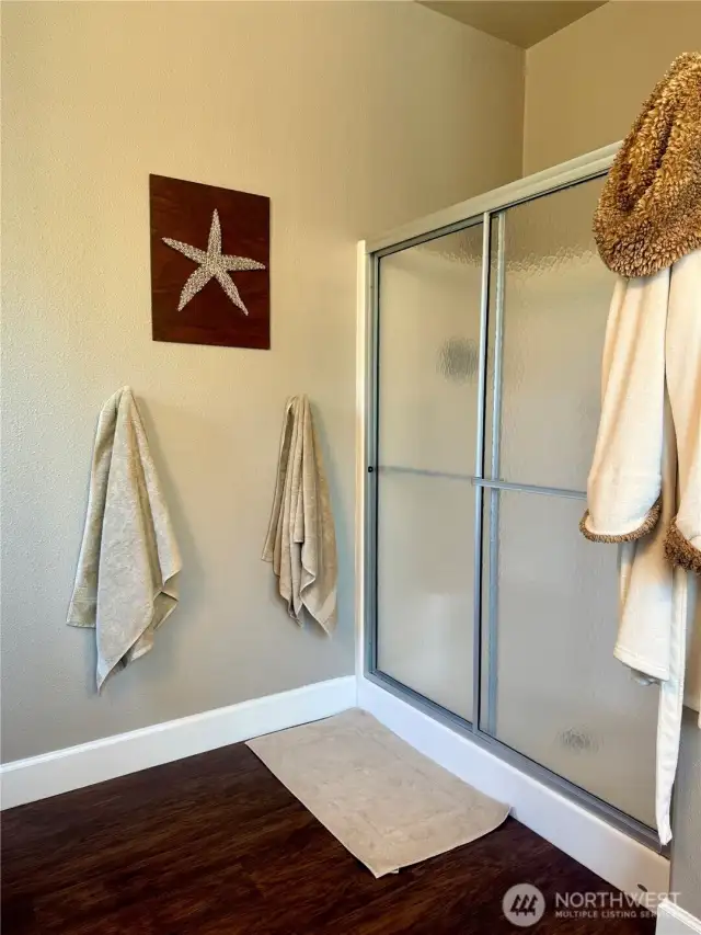 Primary bath shower
