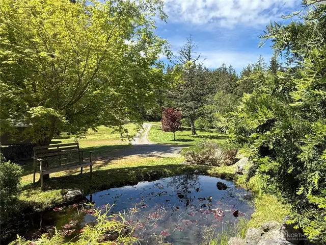 The birds and frogs will serenade you while enjoying this sunny outdoor space. The property has the feel of a true sanctuary.
