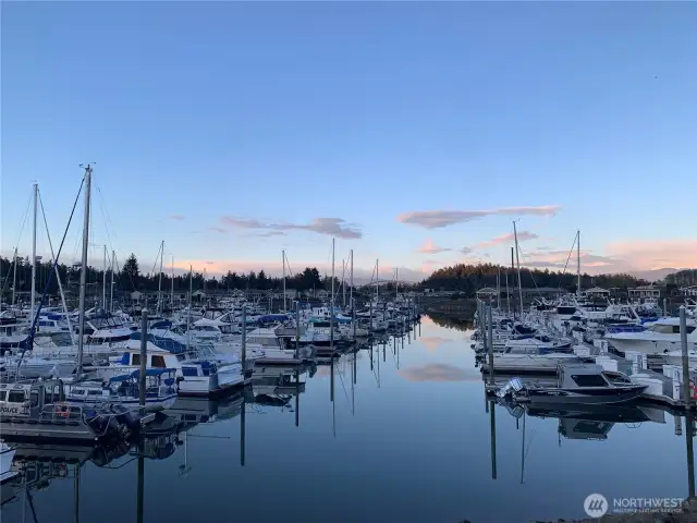 Nearby marina