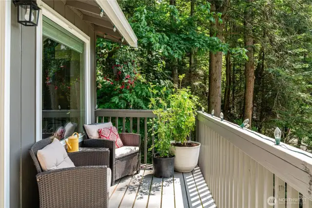 Full length westerly view deck to enjoy the beautiful sunsets.