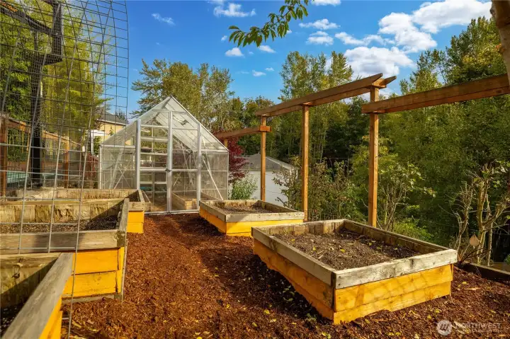 Gaden beds for your gardening dreams. Spacious green house.