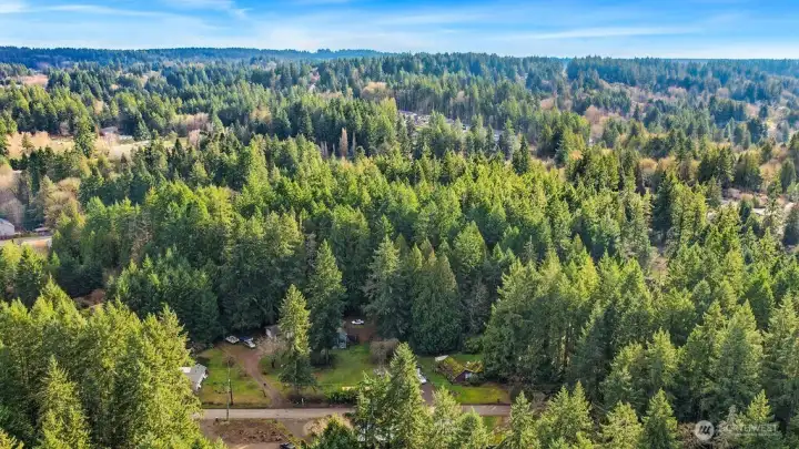 Gorgeous Tracyton Area