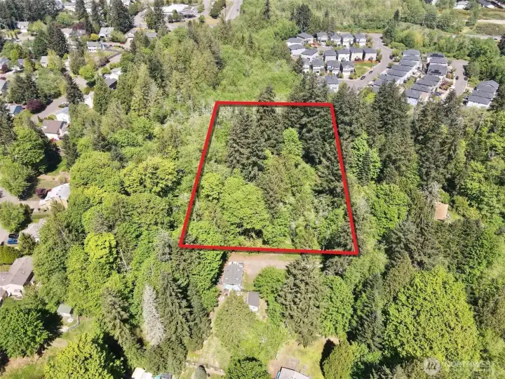 Overhead view with approximate boundaries in red.