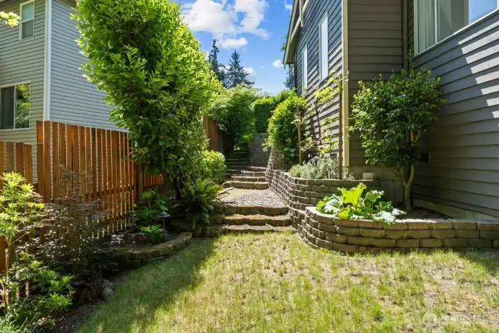 Side Yard Side Yard