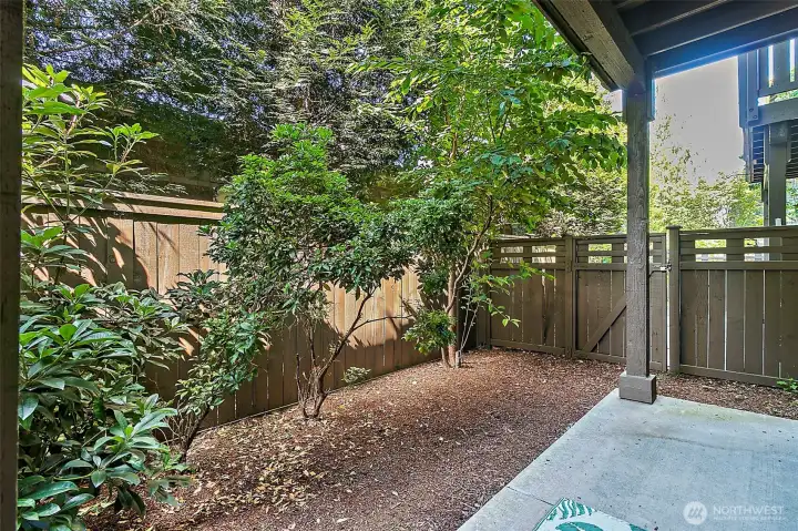 Fenced Yard