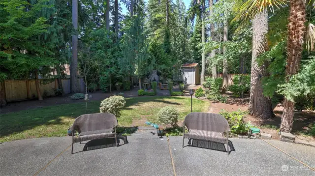 The privacy of the backyard offers a sense of tranquility and seclusion, making it a perfect retreat