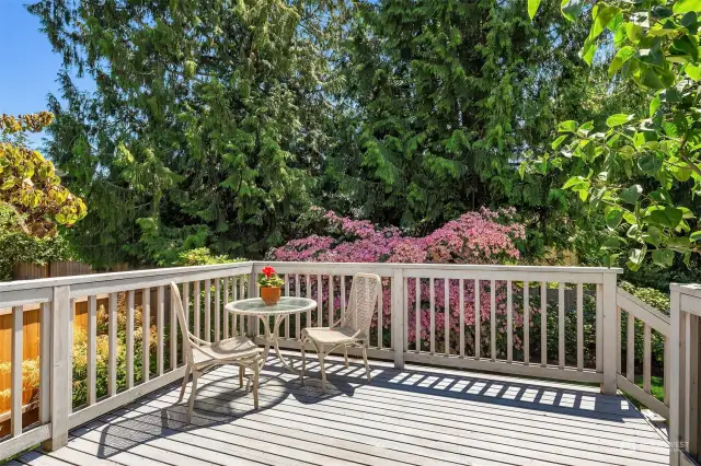 Sunny deck great for BBQs and dining al fresco!
