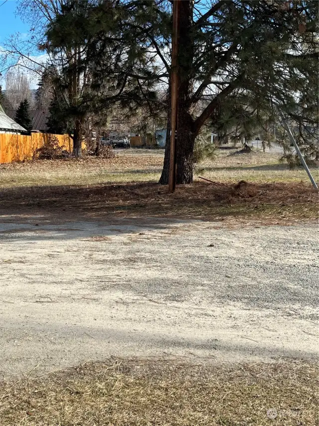 The electric pole is sitting along side of the large tree, easily accessible.