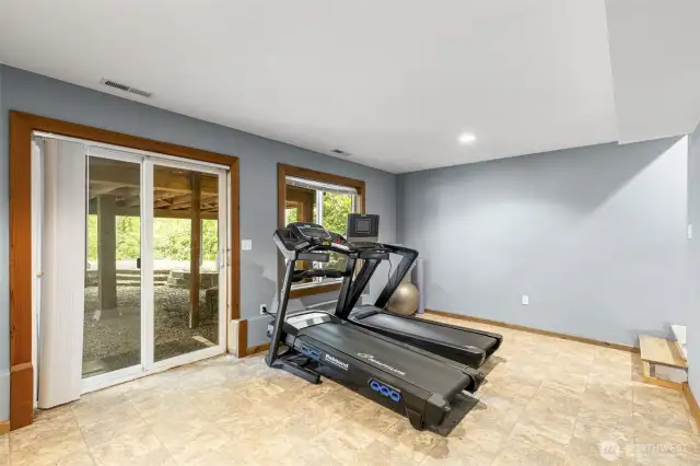 Basement level living room, there is also a bedroom on this level and an entrance from outside if one wanted multi-gen living options!