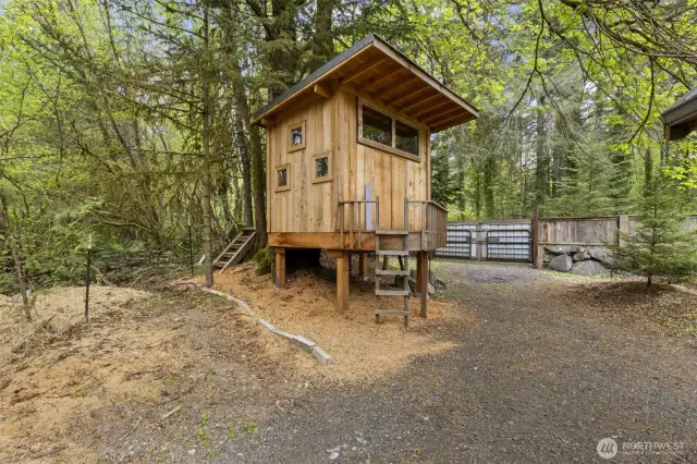 Here is 1 of 2 amazing tree houses!