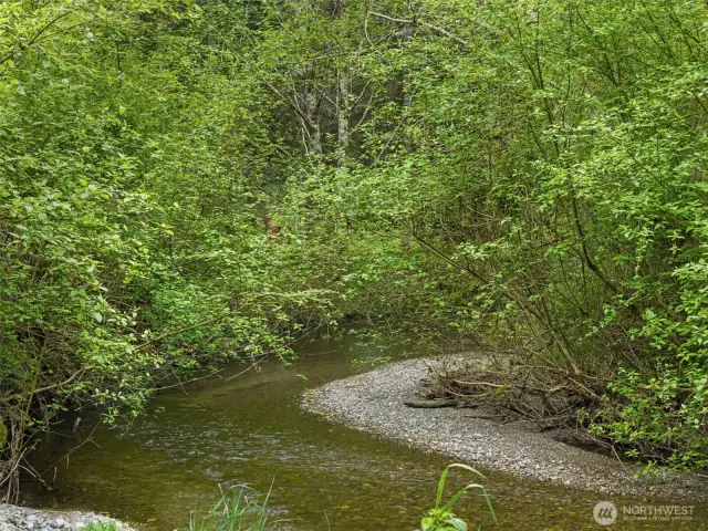 Lovely creeks...