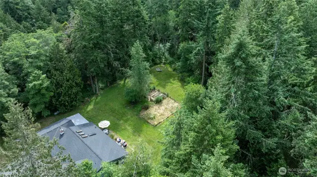 Sunny, cleared, mostly level garden areas ready and waiting with some fruit trees fenced off.