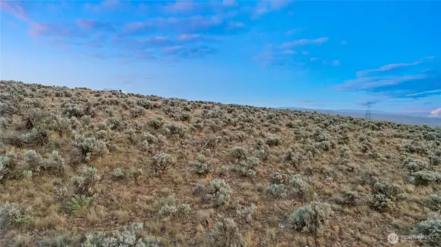 Beautiful native landscape