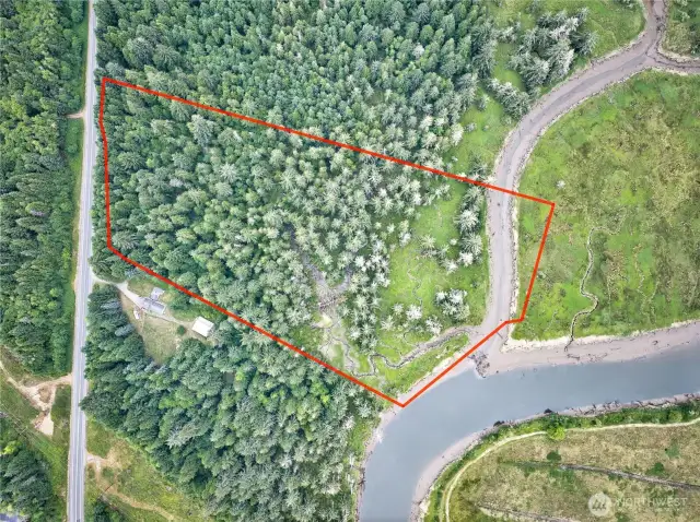 Lines are estimated