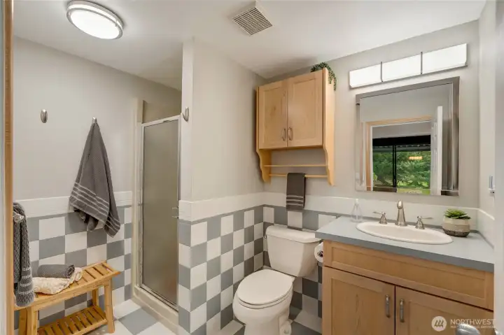 Downstairs bathroom off the bedroom.