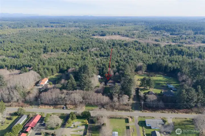 Nestled among the trees.