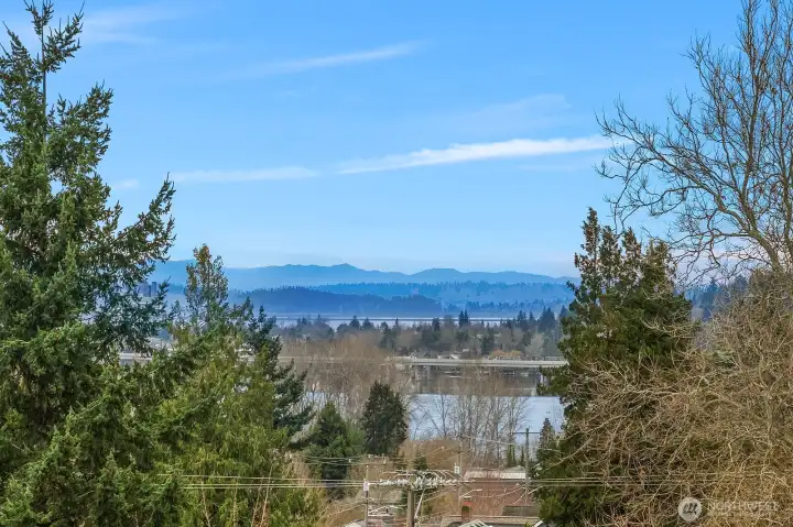 Amazing views from rooftop deck