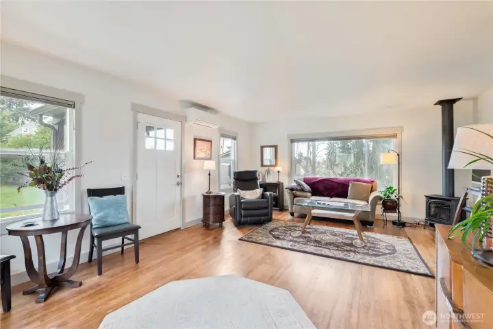 Light Filled Living Room