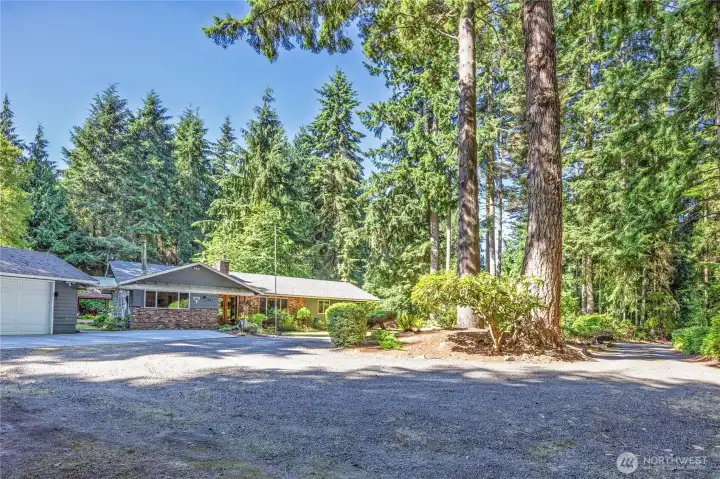 Set among mature evergreens on a large lot, this home offers peace and privacy!