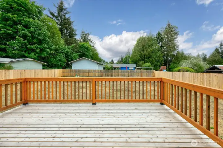 Huge back yard deck