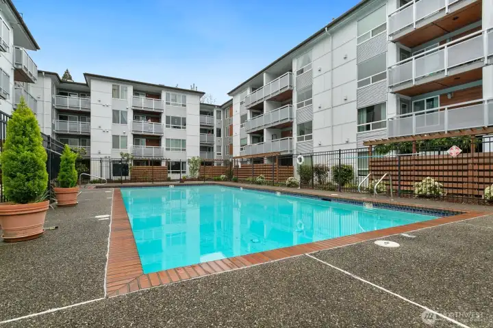 Enjoy the pool without the maintenance! Enjoy the pool without the maintenance!