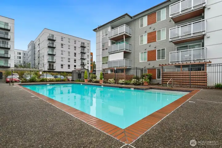 Take a dip in the pool on those hot summer days ahead! Take a dip in the pool on those hot summer days ahead!