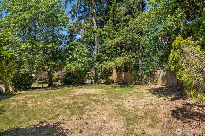 Big Side Yard, Check Zoning for Possible Growth